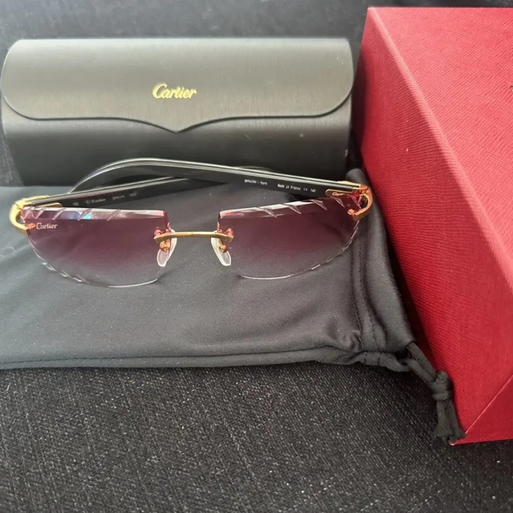 Cartier Buffalo Horn Frames w/ Custom Diamond-Cut Lenses + Originals – Authentic